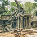 Ta Prohm in Angkor Wat