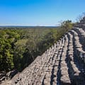 Die Stufen von Calakmul