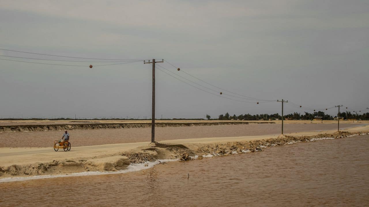 Las Coloradas