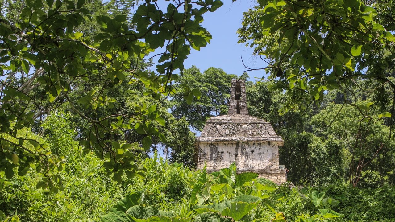 Tempel im Dschungel, Palenque