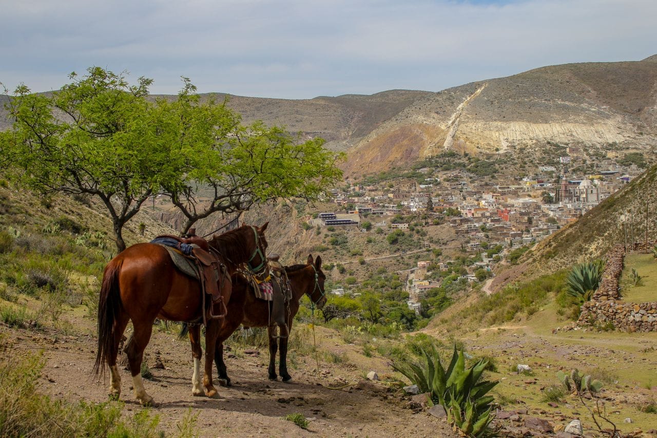 realdecatorce0013 allerorts.de