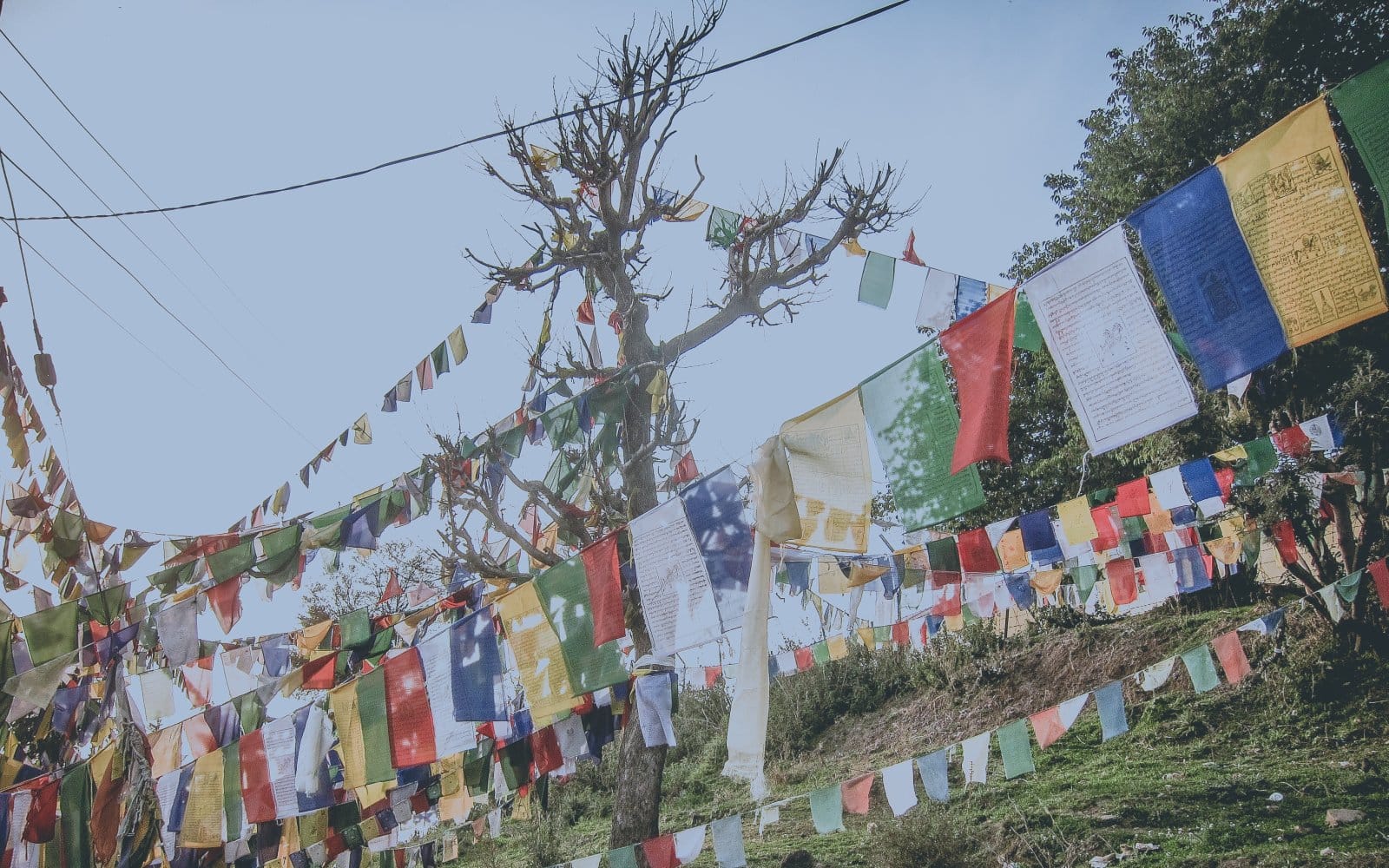 Wimpel in McLeod Ganj (Upper Dharamsala)