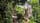 Las Pozas: Die surrealistischen Gärten von Xilitla