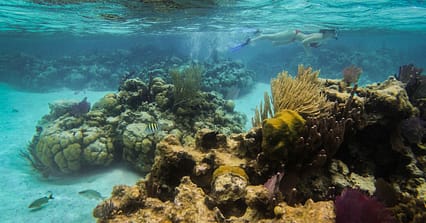 Unterwasser Riff